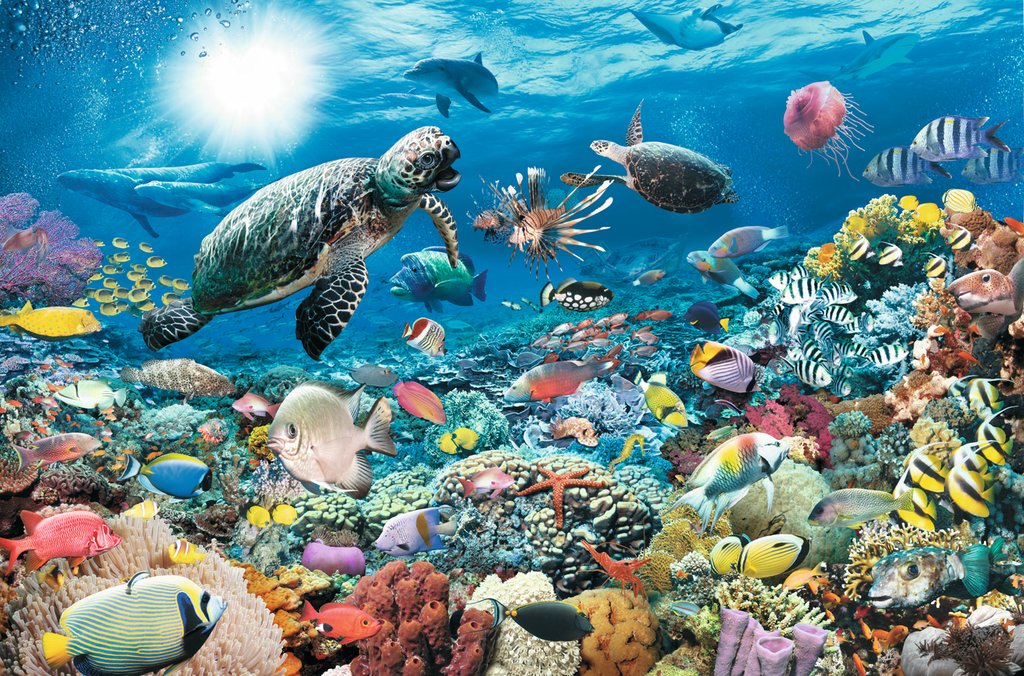 퍼즐 라벤스버거 산호초의 삶 5000pcs 수입