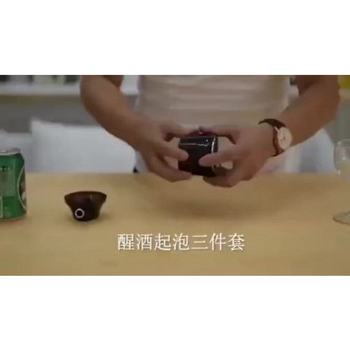 초음파 맥주 거품 버블 러 레드 와인 전자 스마트 디켄터 가정용 발포 기계 인공물