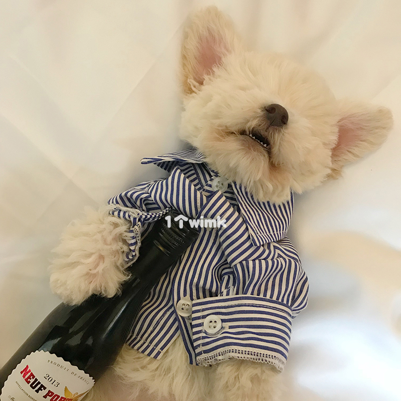 Xiong 슈나우저 VIP Bomet 테디 싸움 작은 개 애완 동물 고양이 옷보다 개가 스트라이프 셔츠