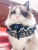 고양이와 개는 곰 삼각형 스카프 턱받이 애완 동물 칼라 장식 용품보다 귀여운 침 수건 활 레이스