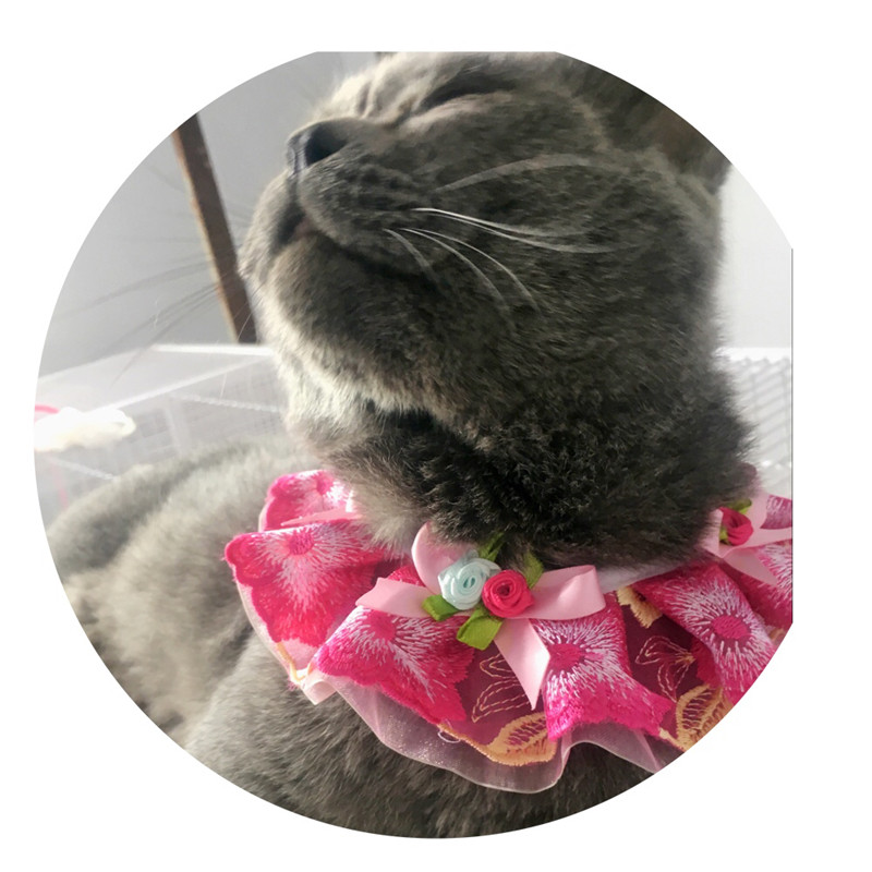애완 동물 스카프 턱받이 개 타액 타월 가필드 고양이 턱받이 삼각형 스카프 테디 귀여운 칼라 나비