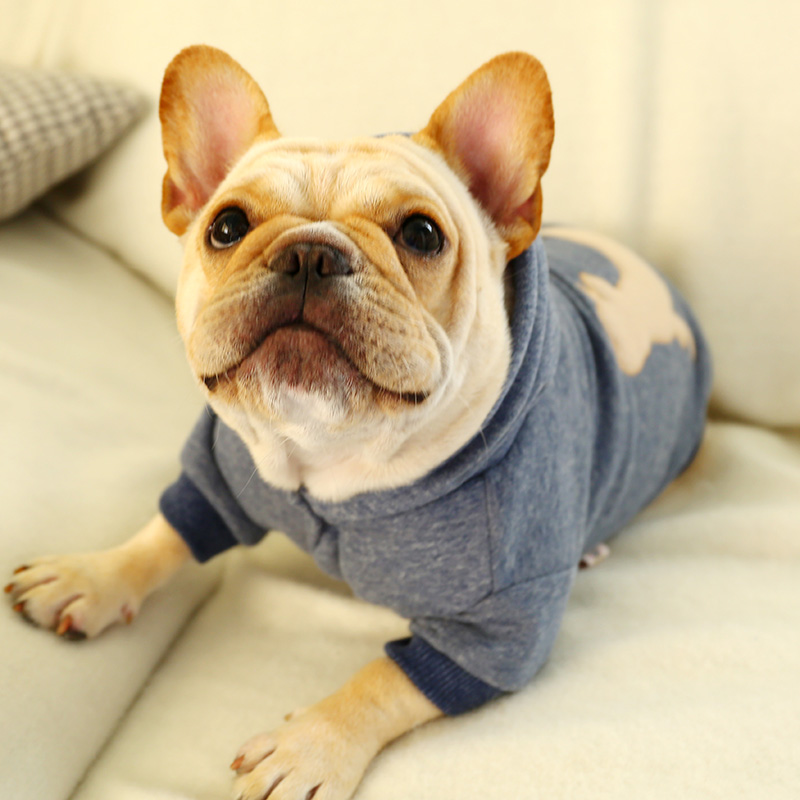 프랑스 버킷 캐주얼 후드 스웨터 Kejibago 깡패 뚱뚱한 개 애완 동물 가을 겨울 옷 프랑스 가축 영국 전투 개