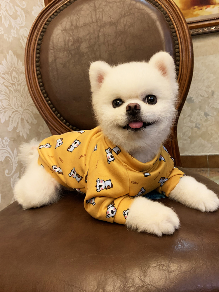 애완 동물 옷 Xiong Bomei 불독 개 개 따뜻한 귀여운 두꺼운 옷보다 작은 개 테디 가을과 겨울 옷