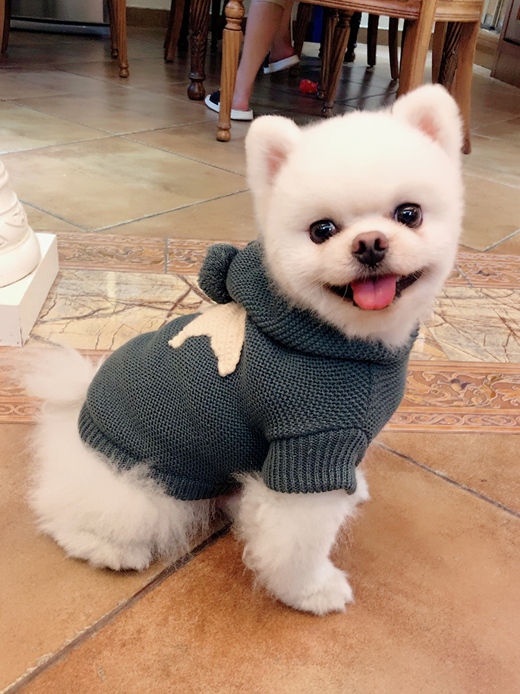 강아지 애완 동물 고양이 테디 의류 가을과 겨울 시즌 Xiong Bomei 따뜻한 두꺼운 고양이 스웨터보다 두꺼운 옷