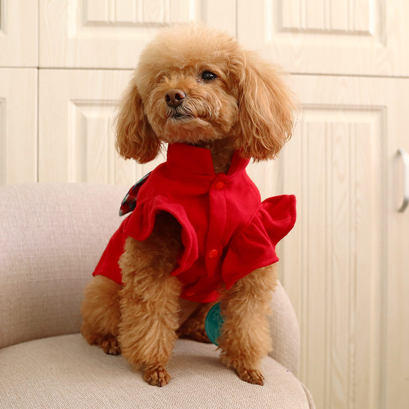 개 옷 여성 치마 공주 드레스 팬 Bomei 테디 요크셔 가을과 겨울 모직 코트 애완 동물 고양이 의상