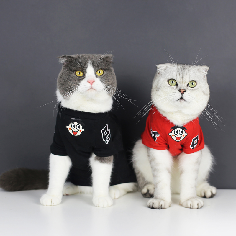 하우스 제인 애완 동물 만화 옷 귀여운 고양이 옷 가을 겨울 모델 영국 짧은 반팔 따뜻한 플러스 벨벳 옷