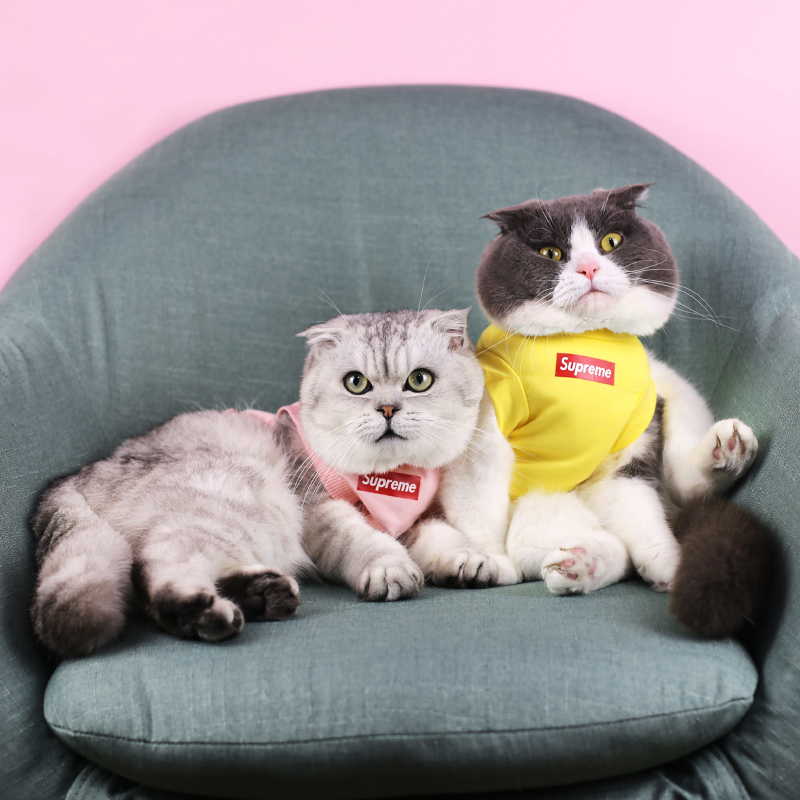하우스 제인 고양이 민소매 조끼 가을 겨울 작은 우유 따뜻한 옷 브랜드 애완 동물 옷 반팔 짧은 특별