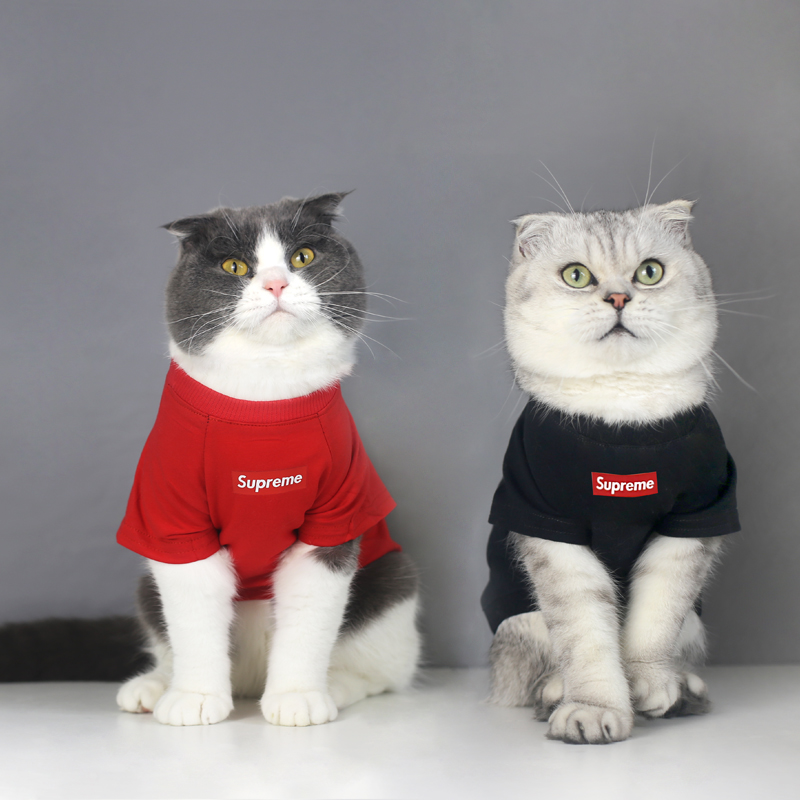 하우스 간단한 브랜드 고양이 머리 제거 옷 영국 짧은 특별 가을 겨울 플러스 벨벳 두꺼운 따뜻한 애완 동물 옷