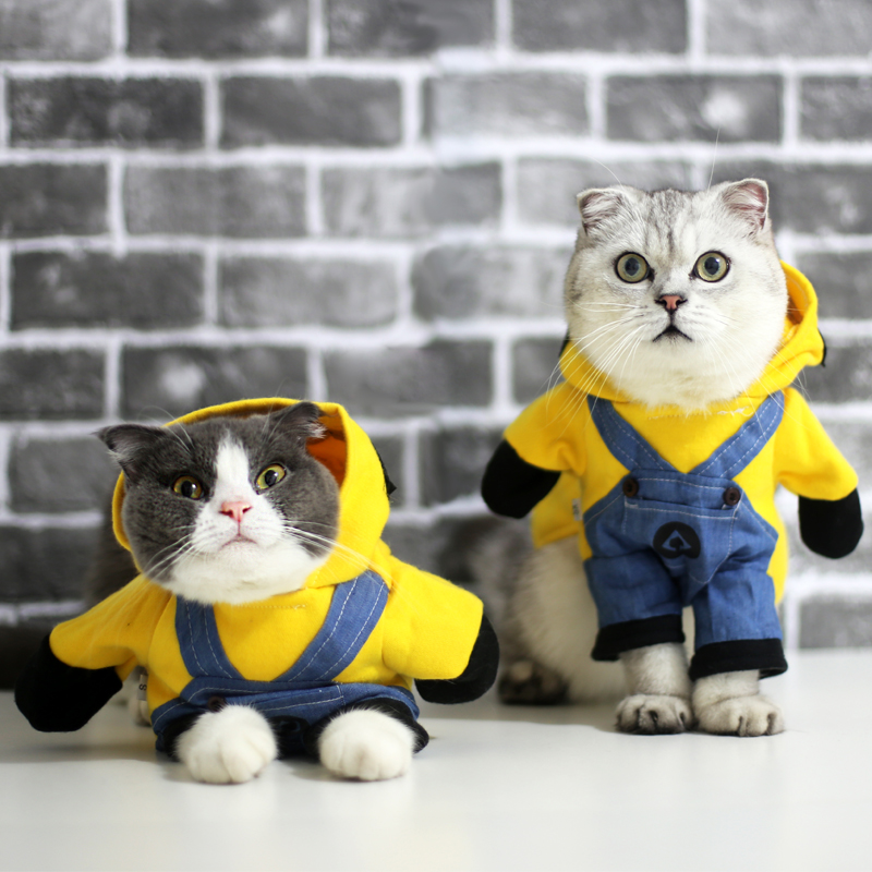 하우스 제인 애완 동물은 성인 고양이 코기 옷 작은 노란색 남자 작은 개 재미 가을과 겨울 플러스 벨벳 스웨터로 바뀌었다