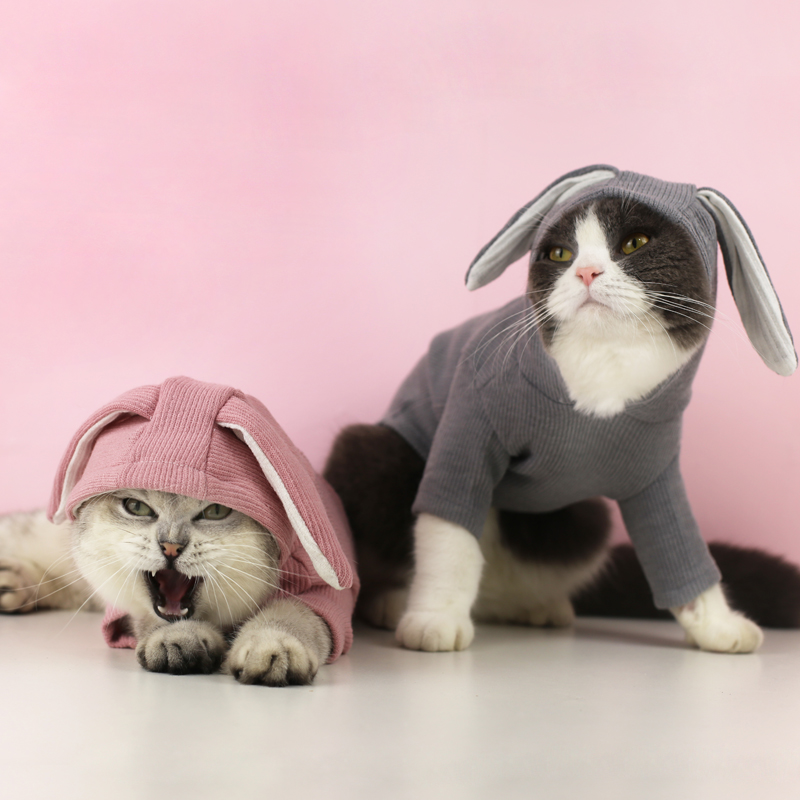 하우스 제인 귀여운 토끼 귀 고양이 스웨터 영국 짧은 미국 짧은 가필드 애완 동물 위장 작은 개 옷 봄 가을