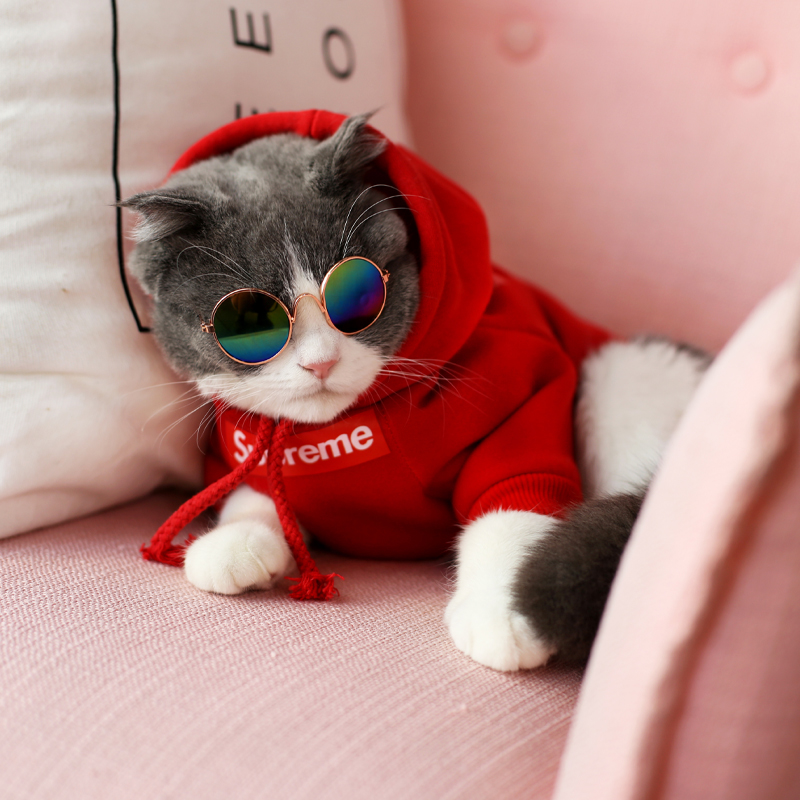 하우스 제인 애완 동물 브랜드 고양이 옷 영국 짧은 아름다운 짧은 봄 여름 반팔 스웨터 티셔츠 작은 강아지 의류