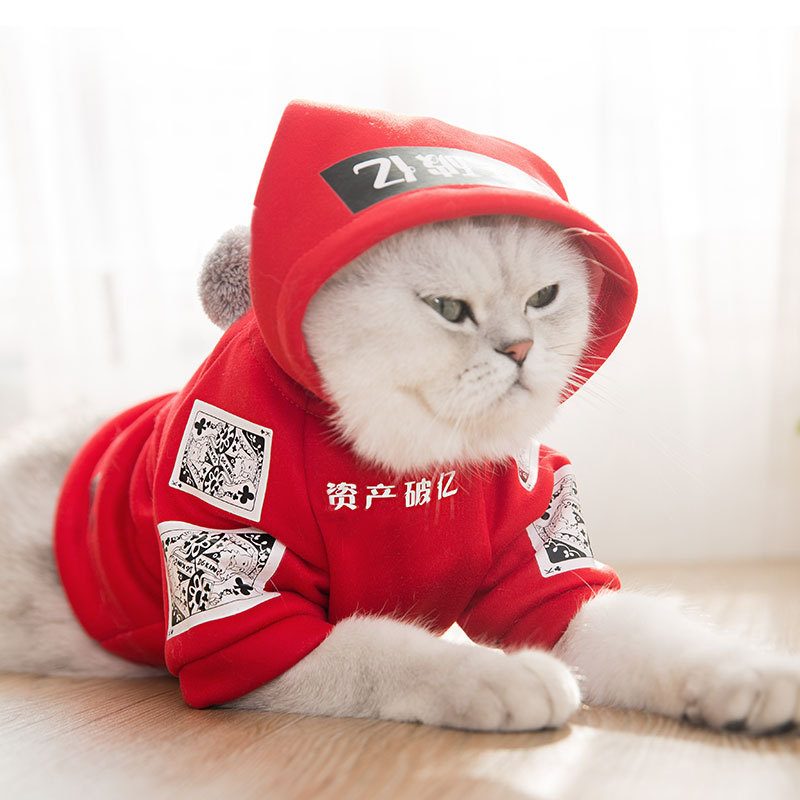 개인 고양이 옷 애완 동물 재미 가을 옷 조수 브랜드 후드 고양이 스웨터 젊은 고양이 가을과 겨울 옷