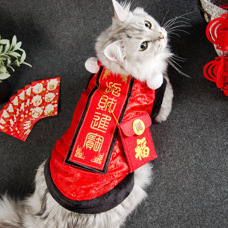 고양이 새해 의류 새 당나라 가을 겨울 모델 플러스 벨벳 따뜻한 의류 새해 축제 작은 빨간 봉투 옷