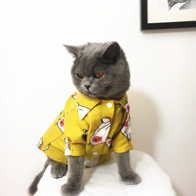 독점 고양이 옷 개 옷 셔츠 열대 봄 가을 Weiyi 바람 해변 꽃 셔츠 옷