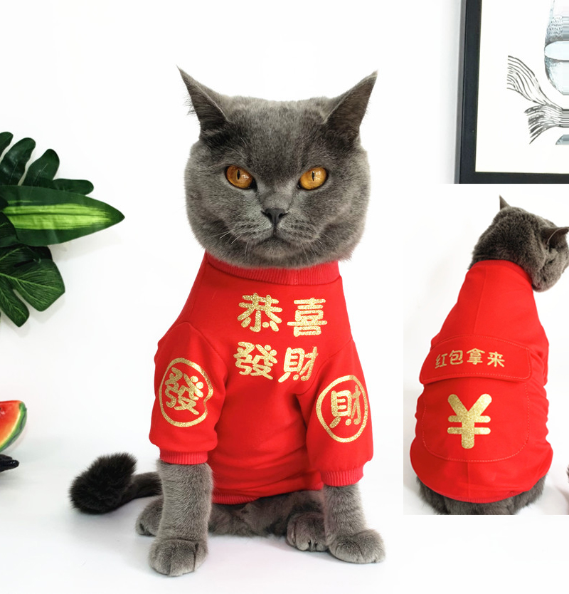 테디 고양이 옷 애완 동물 빨간 봉투보다 맞춤형 애완 동물 고양이 옷 새해 붉은 가을과 겨울 코튼 슈나우저