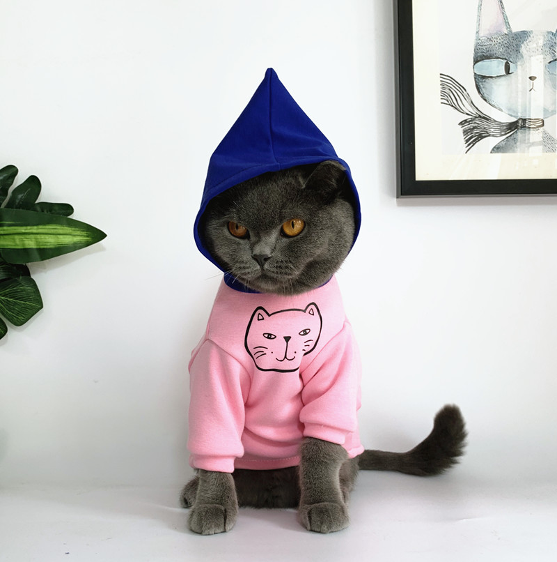브랜드 고양이 개 옷 애완 동물 의류 영국 짧은 파란 봄 가을 옷 플러스 벨벳 핑크 큰 얼굴