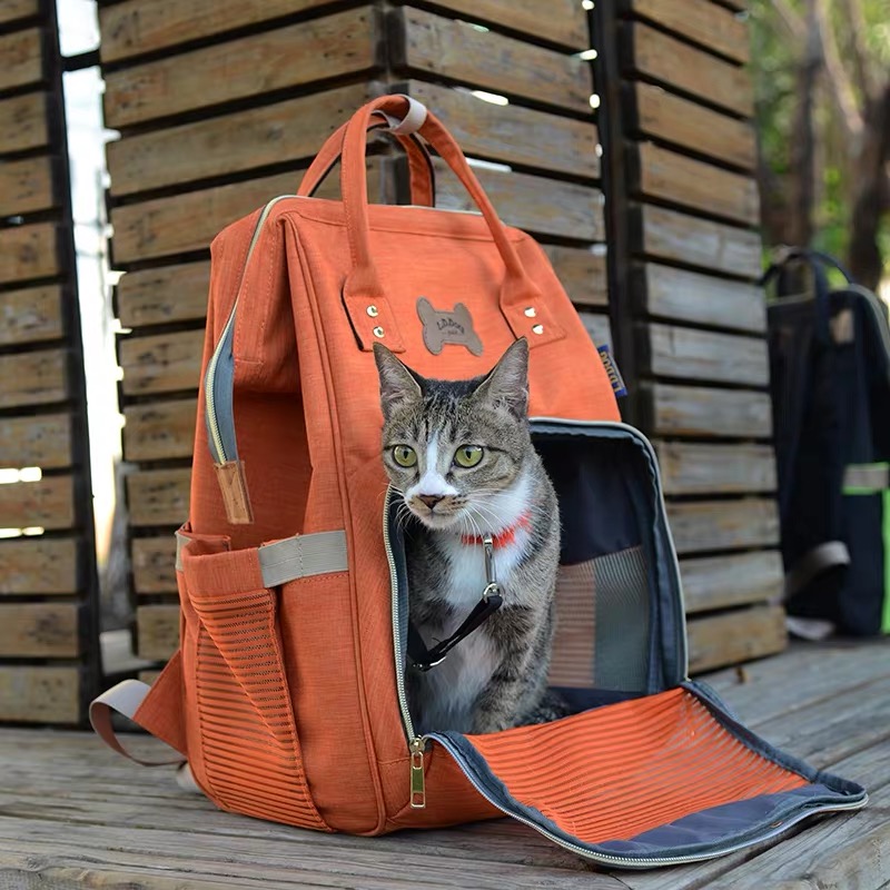 애완 동물 배낭 단어 배낭 휴대용 가슴 가방 접이식 통기성 고양이 가방 고양이 학교 가방 고양이 가방