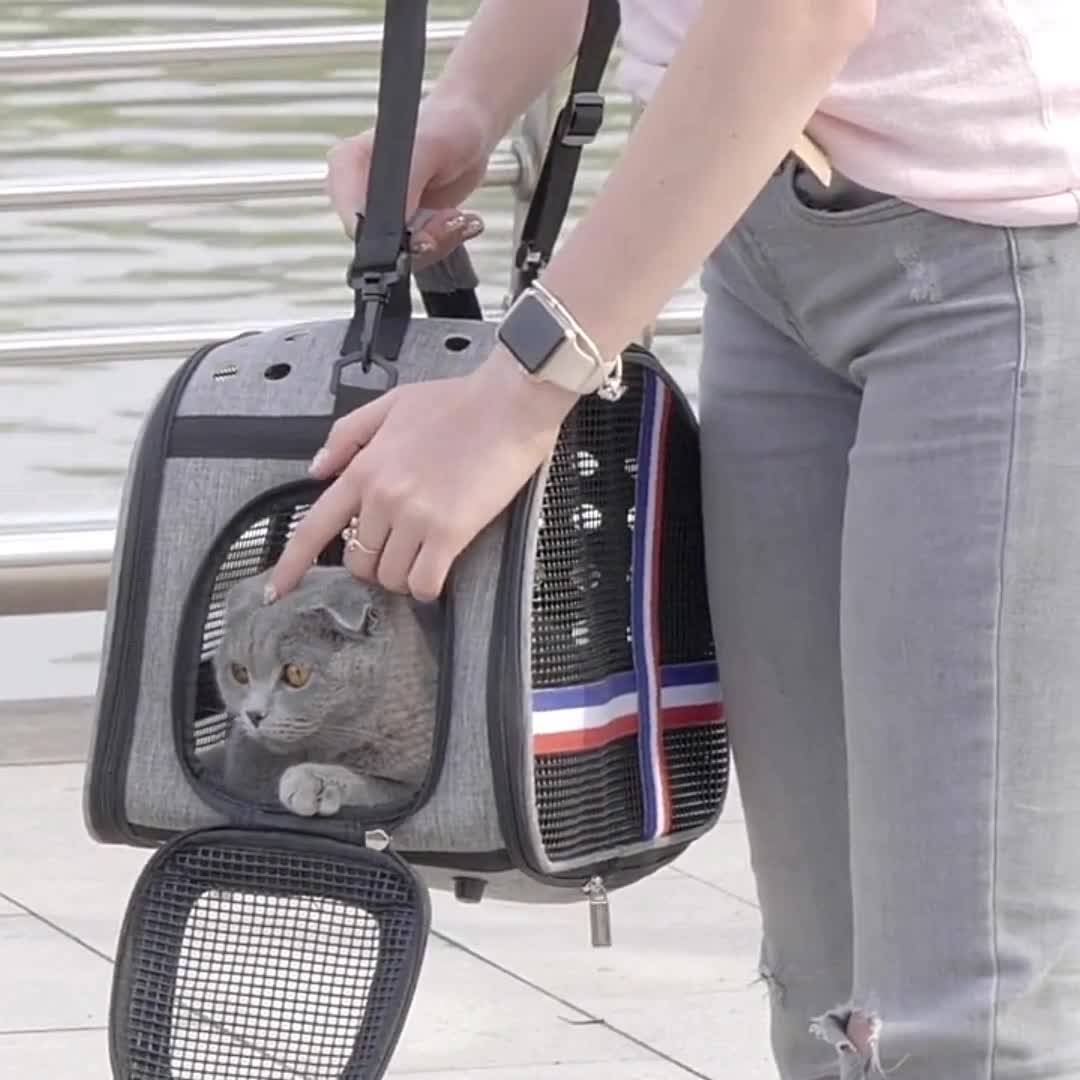 통기성 고양이 가방 고양이 휴대용 가방 비 변형 애완 동물 테이크 아웃 가방 강아지 어깨 가방 휴대용 고양이 케이지 외출