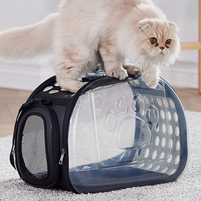고양이 가방 외출 배낭 배낭 우주 캡슐 애완 동물 개 배낭 세척 투명 공간
