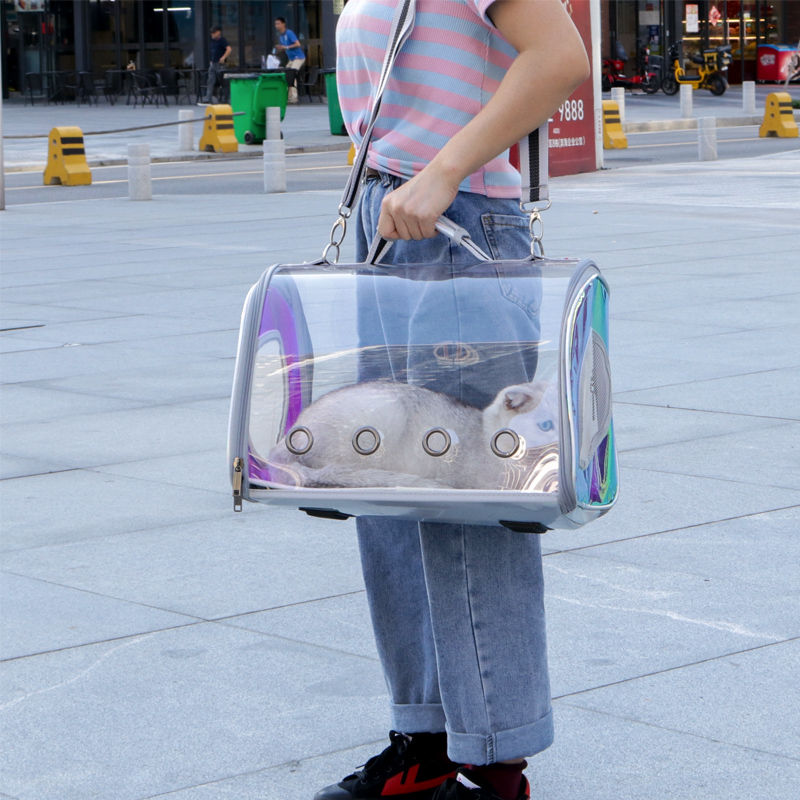 고양이 외출 가방 애완 동물 공간 크로스 바디 휴대용 여름 통기성 개 운반 용품