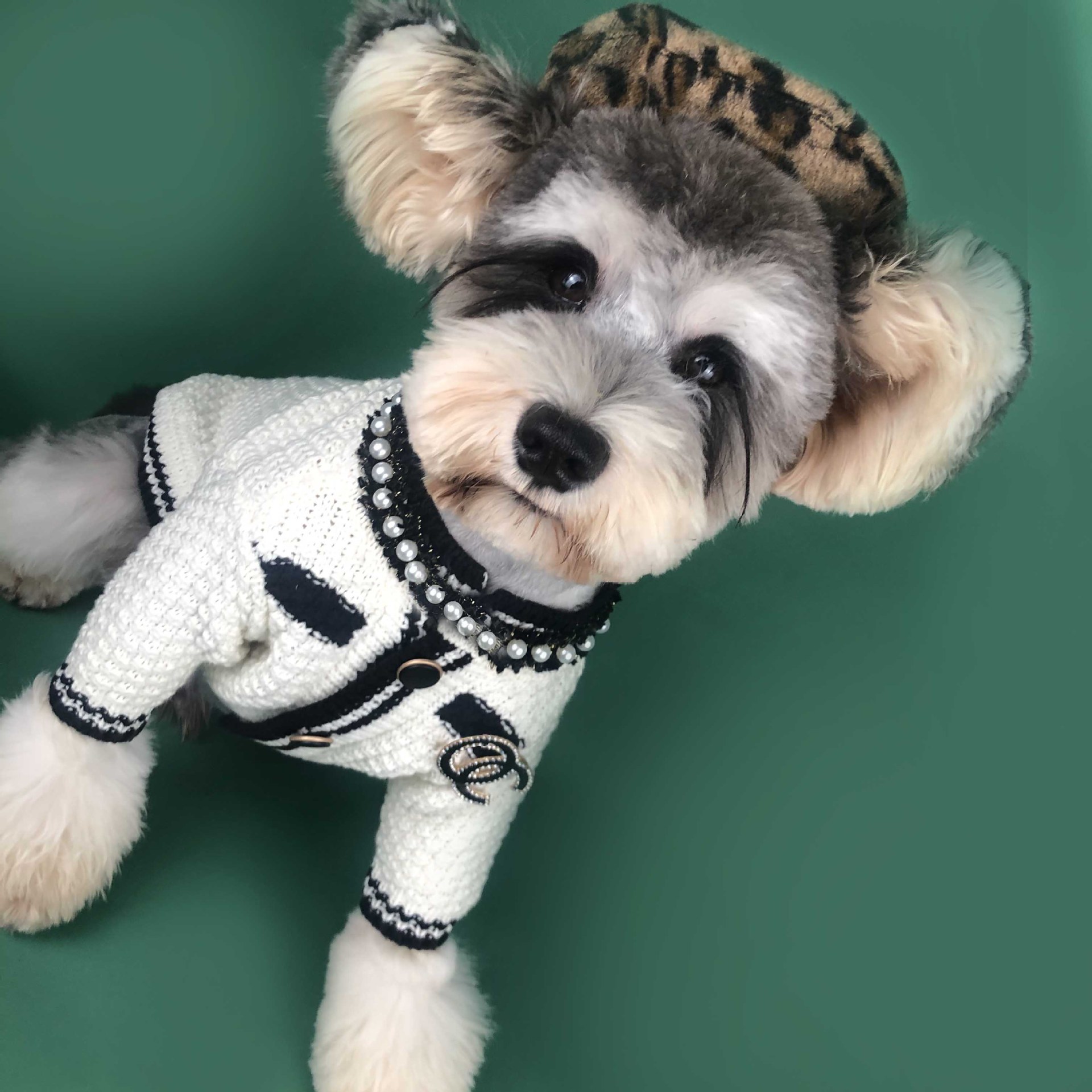 FZL 고양이 개 옷 슈나우저 corgi bomei 테디 카디건 애완 동물 스웨터 의류