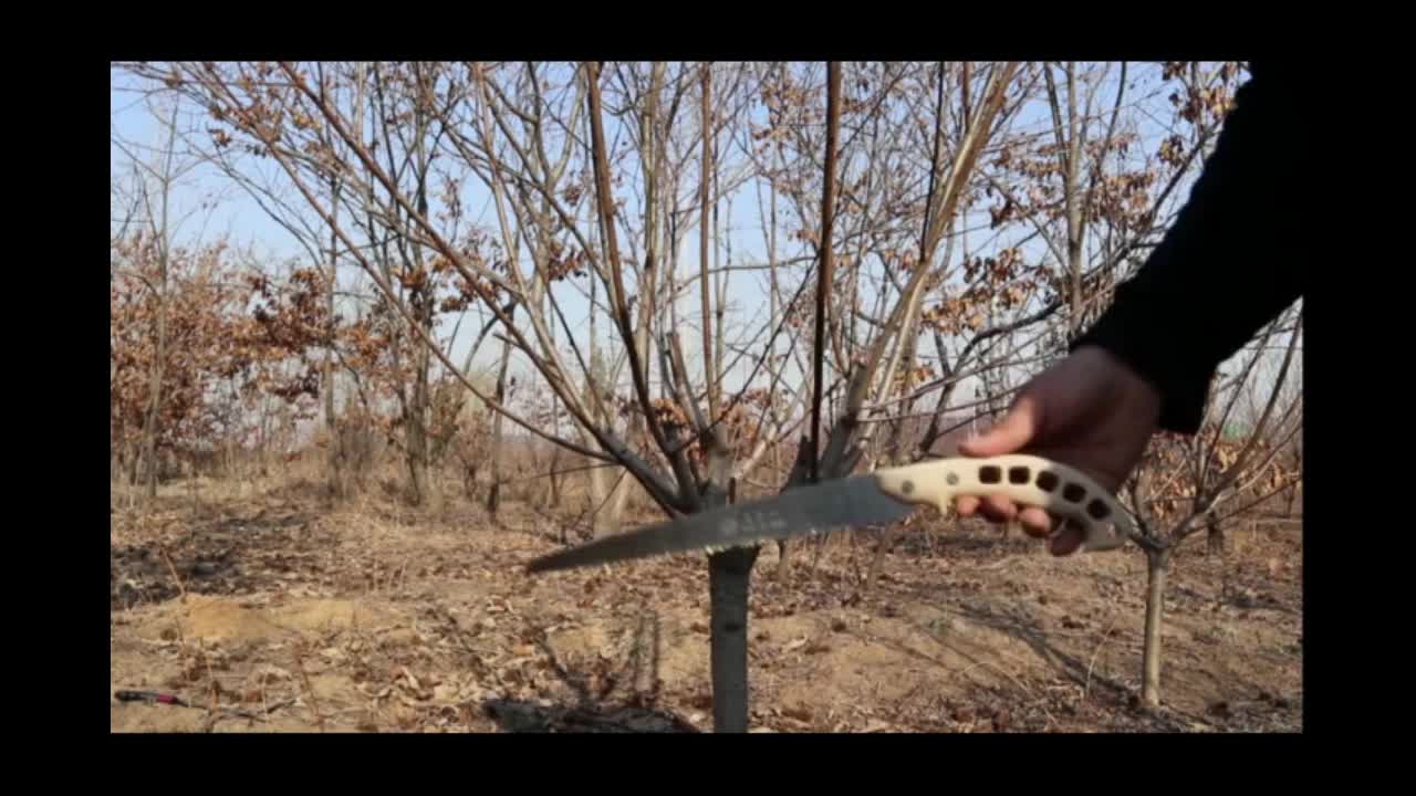 정원 톱 손톱 목공 빠른 가지 치기 과수 벌목 일본에서 수입 한 가정용 야마토