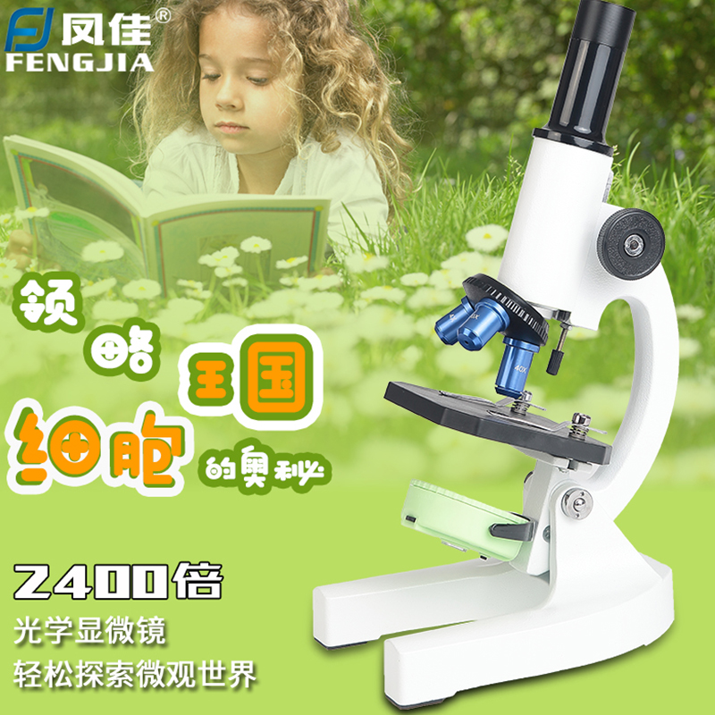 Fengjia 어린이 현미경 2400 배 초등 및 중등 학생 미니 휴대용 생물 감지 과학 실험 세트 선물