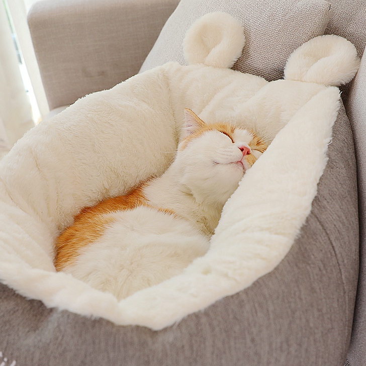 , 고양이 폐쇄 색 침낭 겨울 침낭 개집 집 침대 사계절 겨울에 따뜻하게 유지