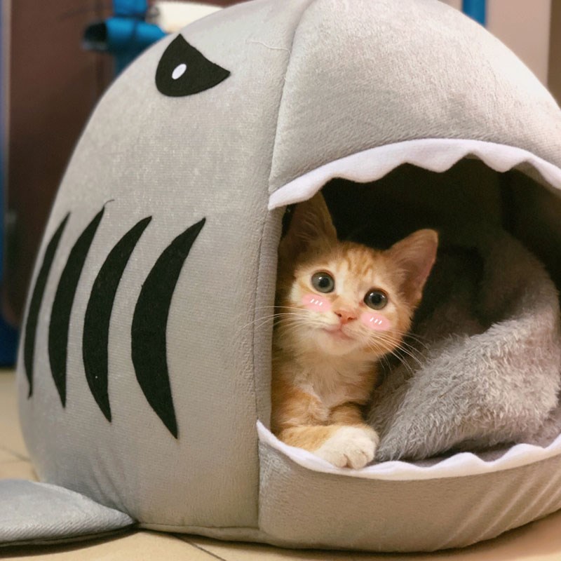 고양이 사계절 범용 상어 개집 색 닫힌 용품 애완 동물 매트 침대 집 따뜻한 겨울