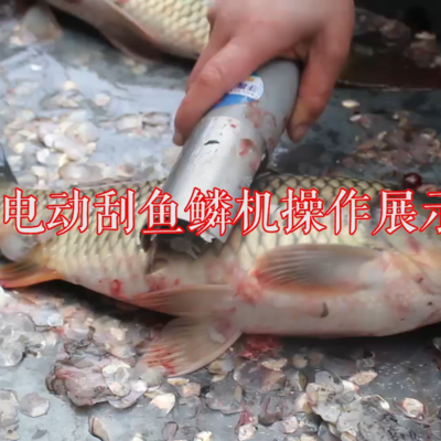 Dr. Yu 전기 생선 비늘 제거기 도구 대패 Dalin Artifact Fish Killer 완전 ​​자동 상업