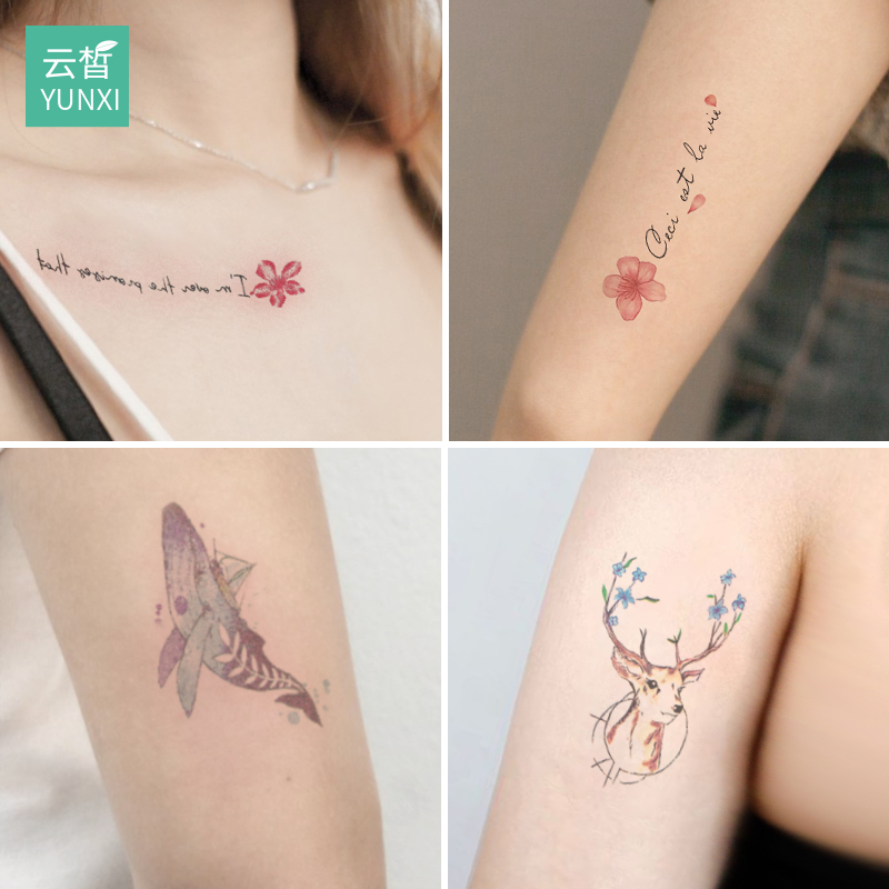 60 문신 스티커 여성 방수 오래 지속되는 바람 작고 신선하고 귀여운 시뮬레이션 섹시한 문신 그물 빨간색 패턴 스티커