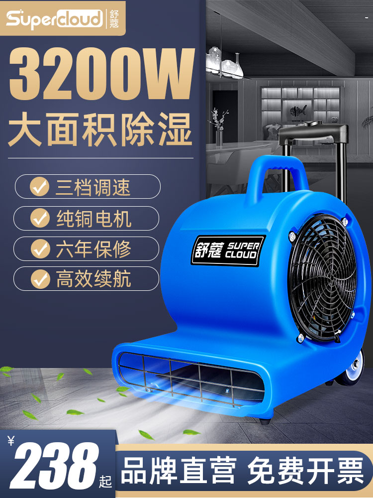 Item 4