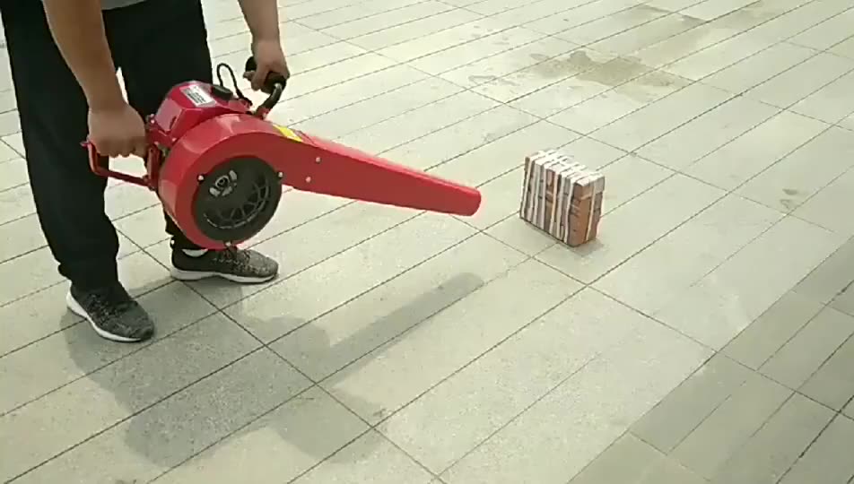 Item 1