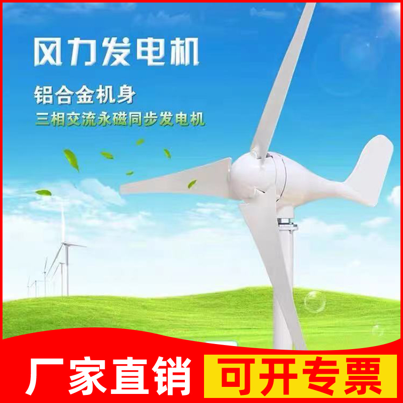 공장 직접 소형 풍력 발전기 220V100W300W500W 가정용 풍력 및 태양열 하이브리드 가로등 12V24V