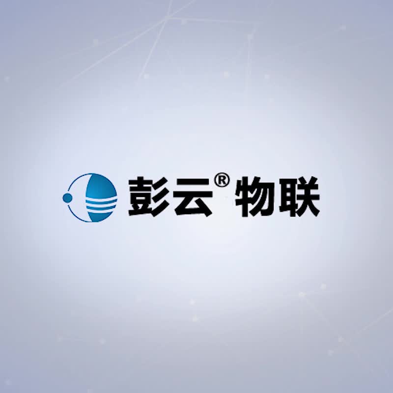 Peng Yun 온도 및 습도 레코더 충전 산업용 무선 고정밀 온도계 원격 경보 온실 모니터링