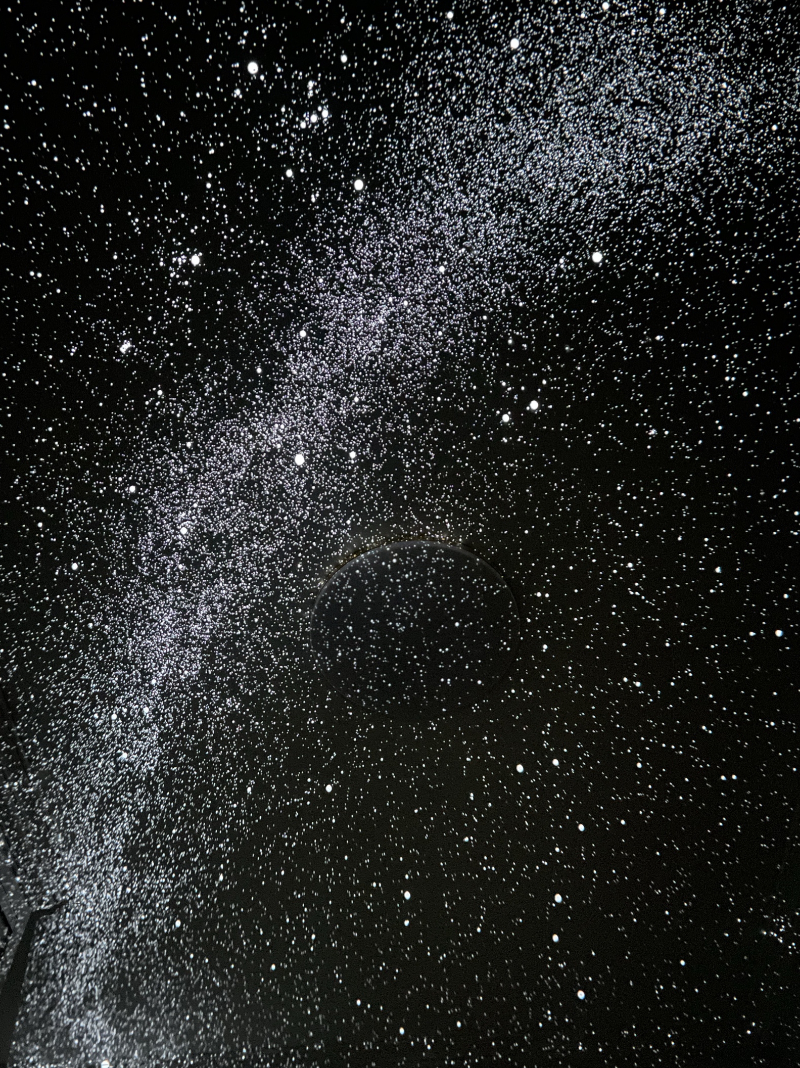 일본 SEGA Sega Homestar Flux Star Projector Meteor Gypsophila Romance Milky Way Constellation Light