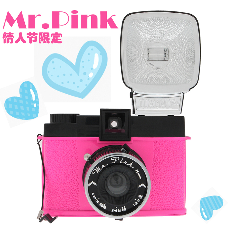 Retro Lomo 카메라 120 필름 Diana F Mr. Pink Mr.Pink 발렌타인 데이 한정