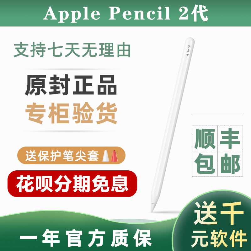기존 Apple Apple Pencil2 2세대 펜 iPad 스타일러스 페인팅 Pro 감압식 applepencil2