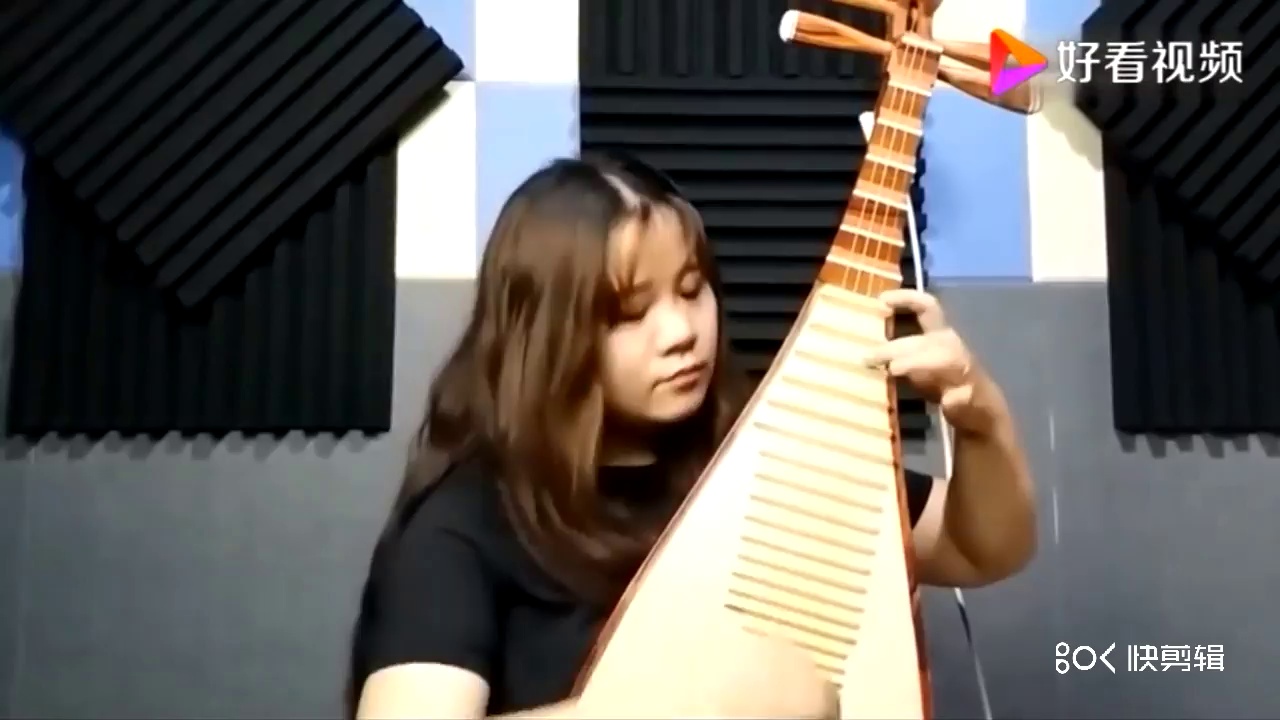 Pricco VD8 Guqin 픽업 Guzheng 민속 음악 바이올린 Pipa Zhongruan 특수 앰프