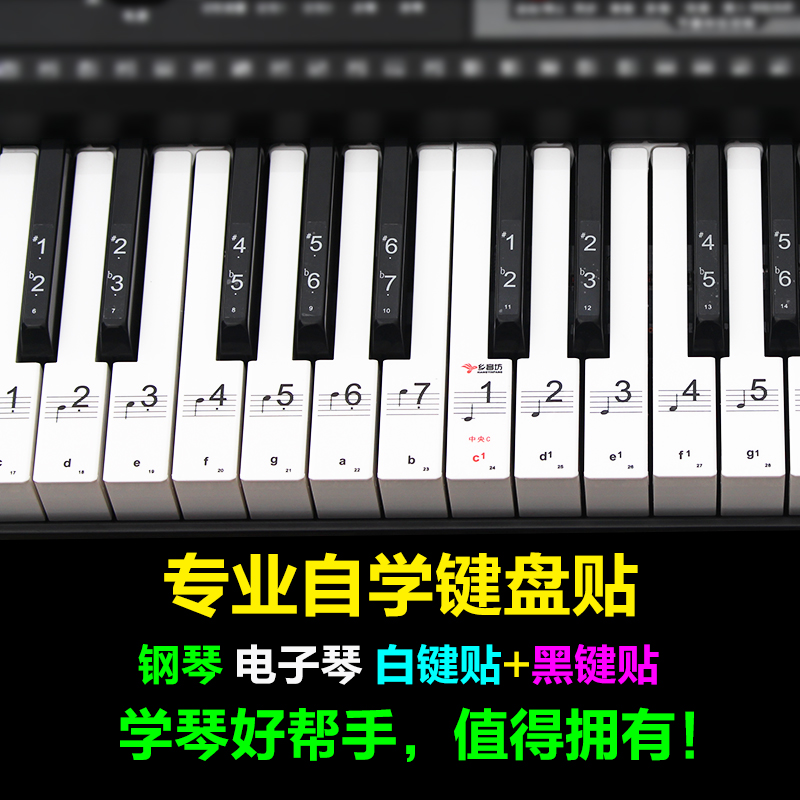 88-key 61-key 54-key 전자 오르간 키보드 스티커 피아노 오선보 표기법 음표 키