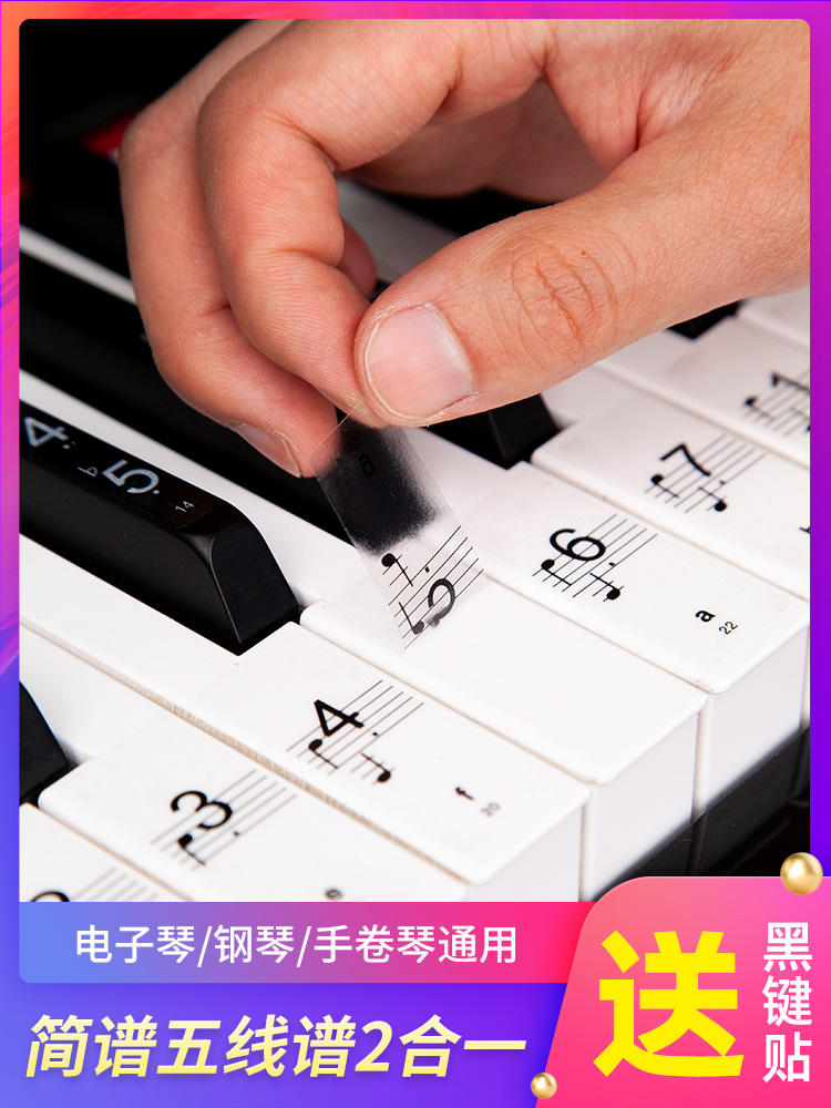 피아노 범용 스티커 88 키 투명 61 전자 오르간 프레스 키보드 사운드 라벨 스티커 메모 붙지 않는 5 줄 표기 액세서리