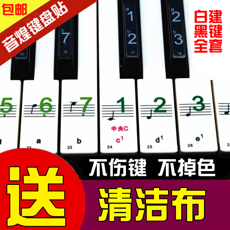 전자 오르간 키보드 스티커 54 키 61 88 투명 직원 표기법 방수 피아노