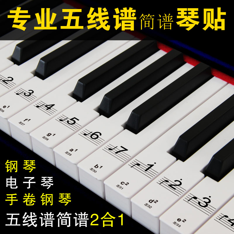 피아노 인식 유물 오선 카드 음악 88 키 무료 스티커 종이 전기 키보드 표기법