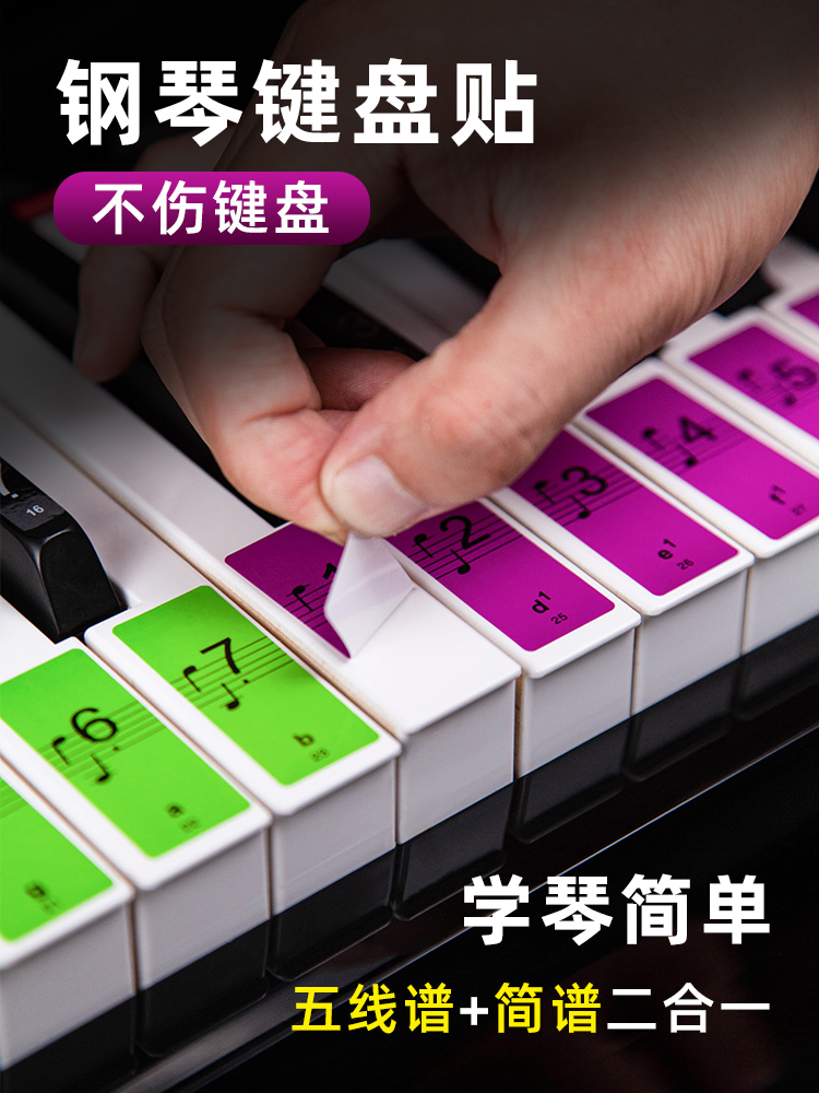 피아노 유니버설 컬러 스티커 88 키 61 전자 오르간 프레스 키보드 사운드 라벨 메모 붙지 않는 다섯 줄 표기 악세사리