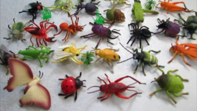 시뮬레이션 곤충 동물 모델 장난감 인형 나비 거미 잠자리 무당벌레 식물 조기 교육 인지 선물 패키지