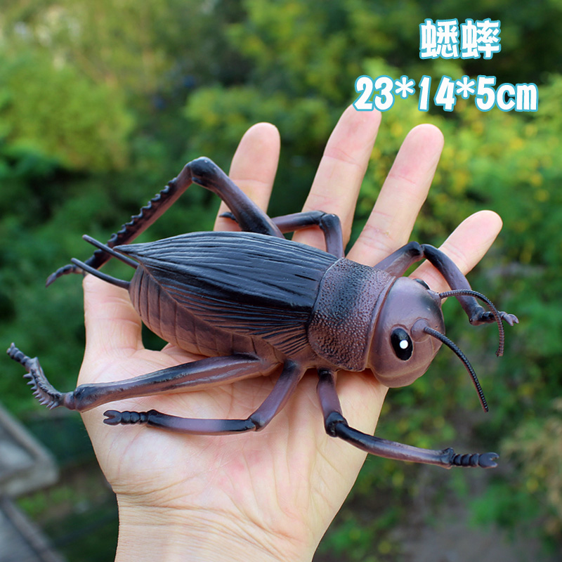 대형 장난감 시뮬레이션 동물 곤충 모델 장식품 크리켓 무당 벌레 거미 전갈 버그 소년 플라스틱