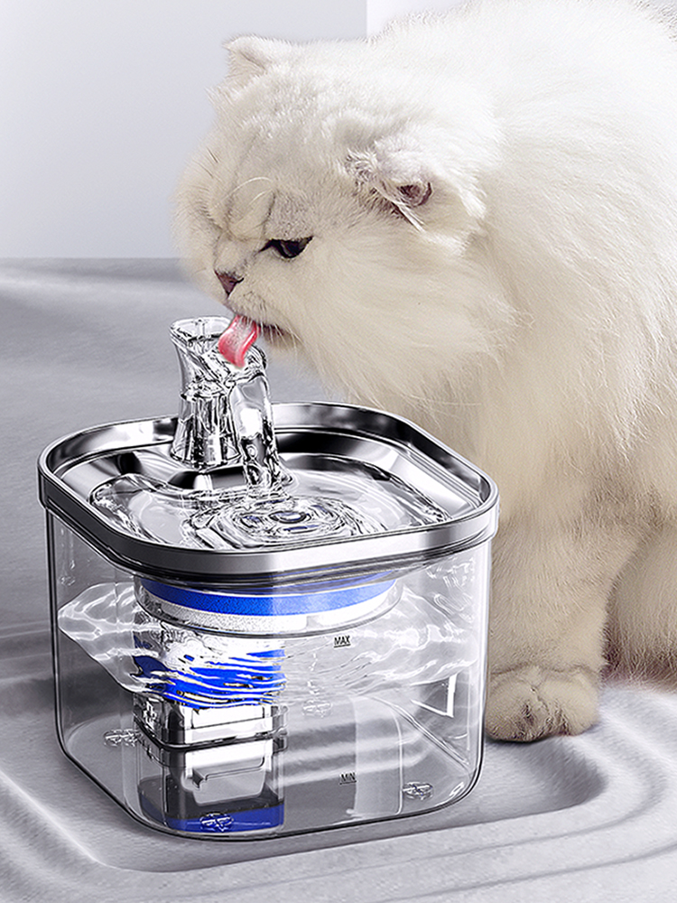 고양이 물 디스펜서 자동 순환 라이브 전기 새끼 물주기 지능형 충전 분리 무선