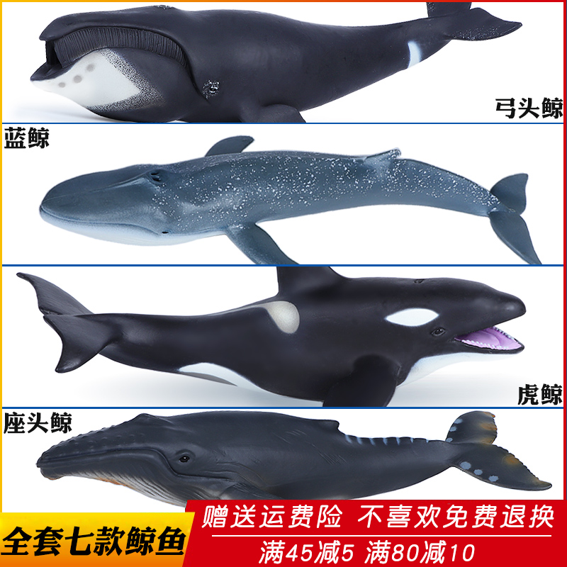 시뮬레이션 해양 생물 고래 장난감 동물 모델 대형 나비 머리 범고래 혹등 일각 소년과 어린이