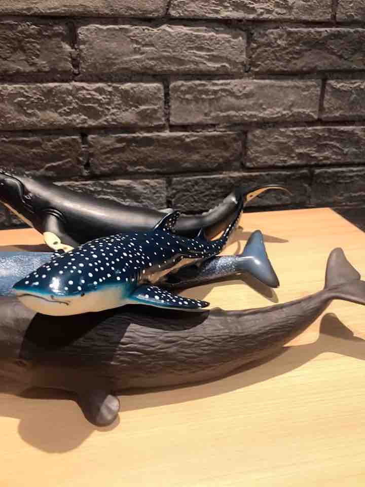 부드러운 접착제 해양 동물 장난감 시뮬레이션 모델 수중 세계 고래 상어 작은 귀상어 선물 세트