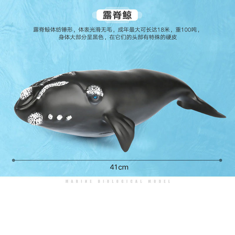 오른쪽 고래 장난감 검은 실제 모델 해양 시뮬레이션 동물 부드러운 접착제 대형 정적 장식 선물